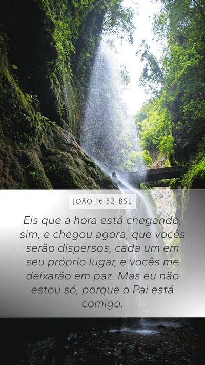 João 16:32 BSL Bible Verse Image