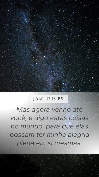 João 17:13 BSL Bible Verse Image