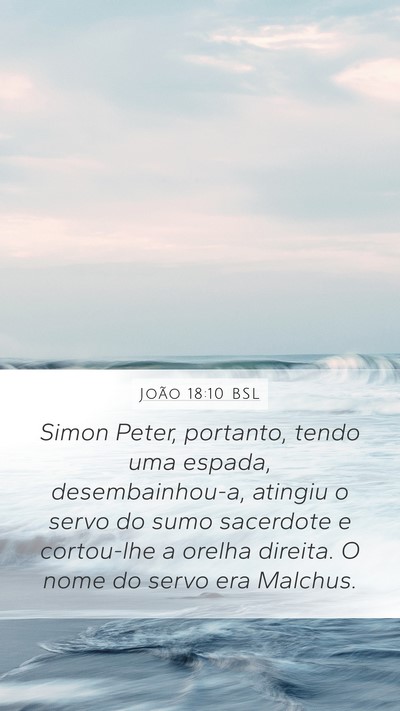 João 18:10 BSL Bible Verse Image
