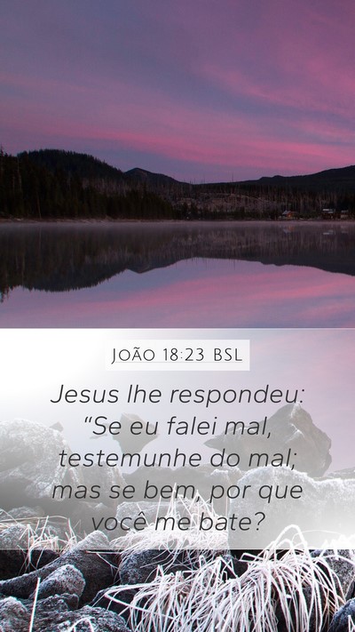 João 18:23 BSL Mobile Phone Wallpaper - Jesus lhe respondeu: “Se eu falei mal, - Mobile Bible Verse Wallpaper