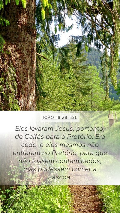 João 18:28 BSL Bible Verse Image