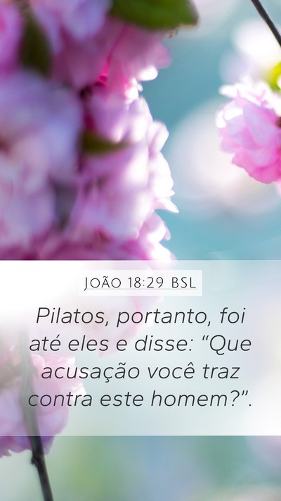 João 18:29 BSL Bible Verse Image