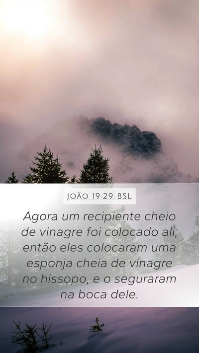 João 19:29 BSL Mobile Phone Wallpaper - Agora um recipiente cheio de vinagre foi colocado - Mobile Bible Verse Wallpaper