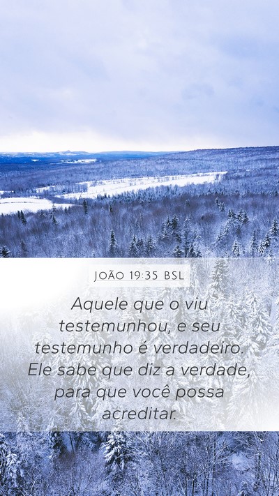 João 19:35 BSL Bible Verse Image