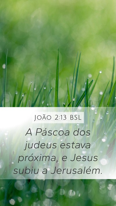 João 2:13 BSL Bible Verse Image