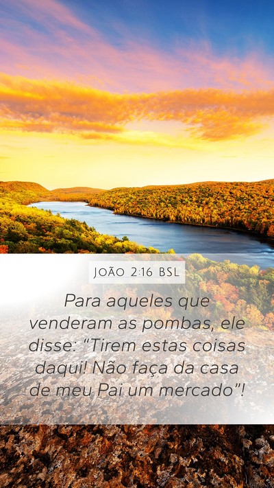 João 2:16 BSL Bible Verse Image