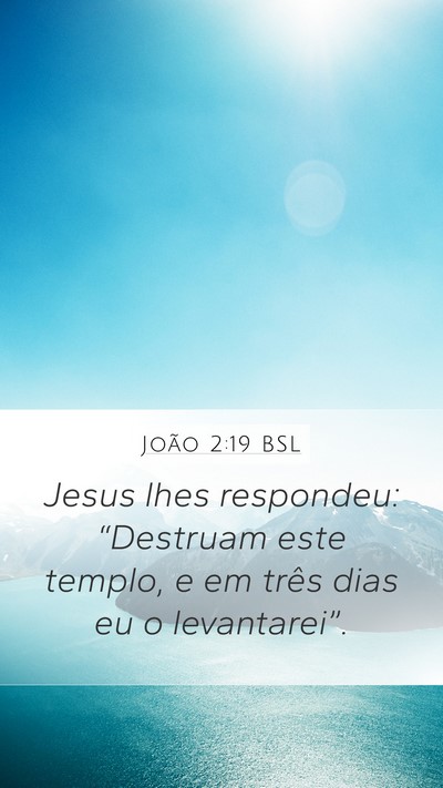 João 2:19 BSL Bible Verse Image