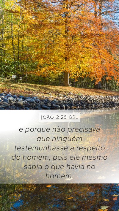 João 2:25 BSL Mobile Phone Wallpaper - e porque não precisava que ninguém - Mobile Bible Verse Wallpaper
