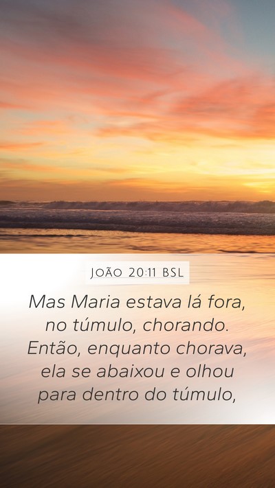João 20:11 BSL Bible Verse Image