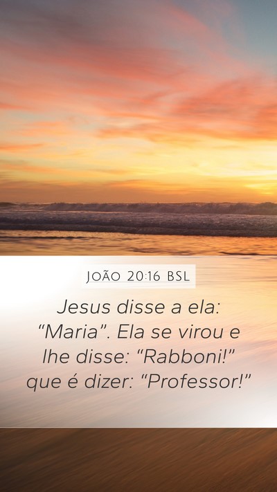 João 20:16 BSL Bible Verse Image