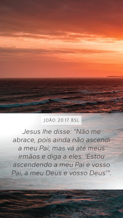 João 20:17 BSL Bible Verse Image