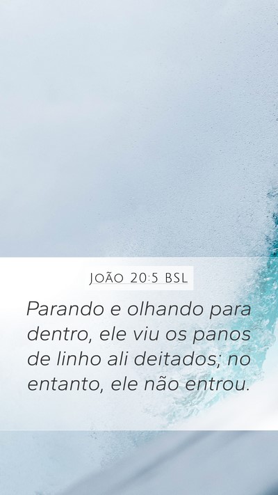 João 20:5 BSL Bible Verse Image