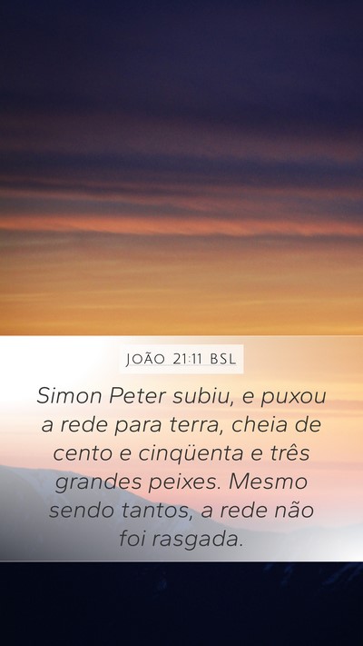 João 21:11 BSL Mobile Phone Wallpaper - Simon Peter subiu, e puxou a rede para terra, - Mobile Bible Verse Wallpaper