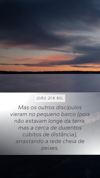 João 21:8 BSL Mobile Phone Wallpaper - Mas os outros discípulos vieram no pequeno barco - Mobile Bible Verse Wallpaper