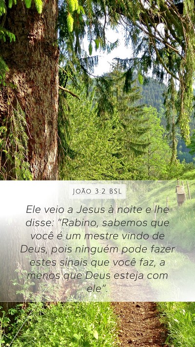 João 3:2 BSL Bible Verse Image