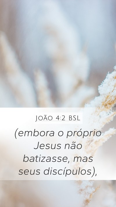 João 4:2 BSL Mobile Phone Wallpaper - (embora o próprio Jesus não batizasse, mas seus - Mobile Bible Verse Wallpaper