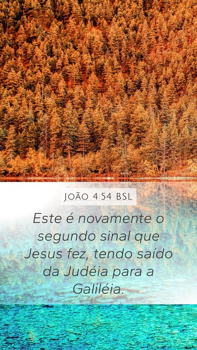 João 4:54 BSL Bible Verse Image