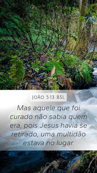 João 5:13 BSL Bible Verse Image
