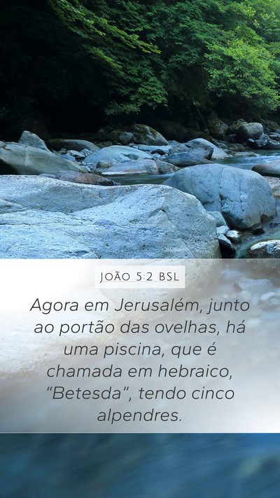 João 5:2 BSL Bible Verse Image