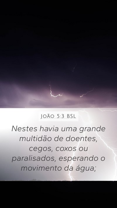 João 5:3 BSL Mobile Phone Wallpaper - Nestes havia uma grande multidão de doentes, - Mobile Bible Verse Wallpaper