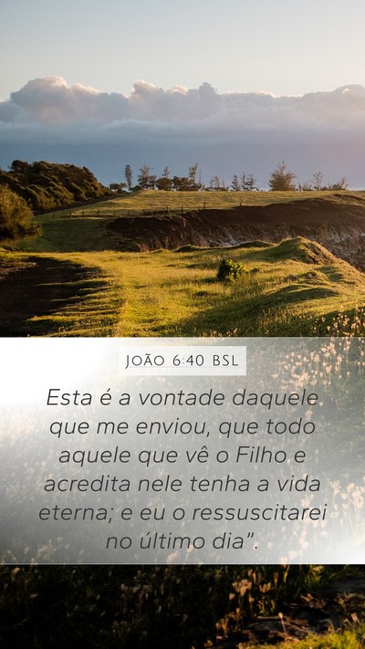 João 6:40 BSL Bible Verse Image