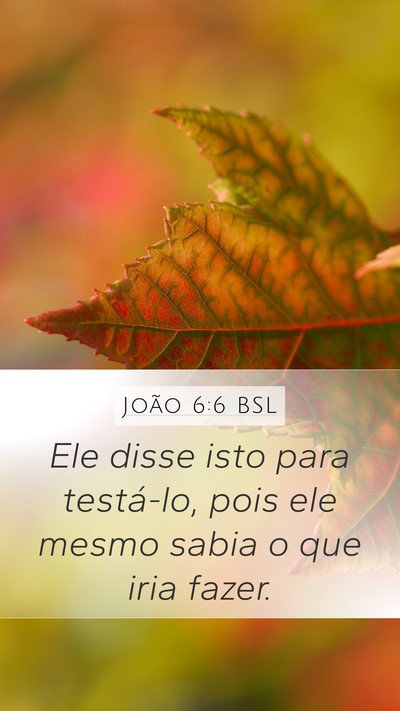 João 6:6 BSL Bible Verse Image