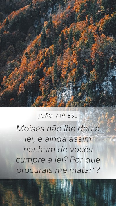 João 7:19 BSL Bible Verse Image