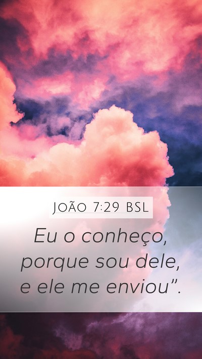 João 7:29 BSL Bible Verse Image