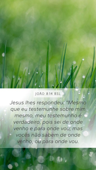 João 8:14 BSL Bible Verse Image