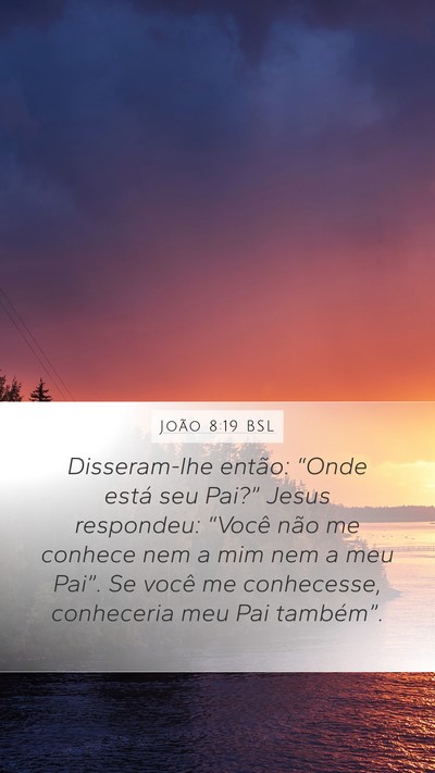 João 8:19 BSL Bible Verse Image
