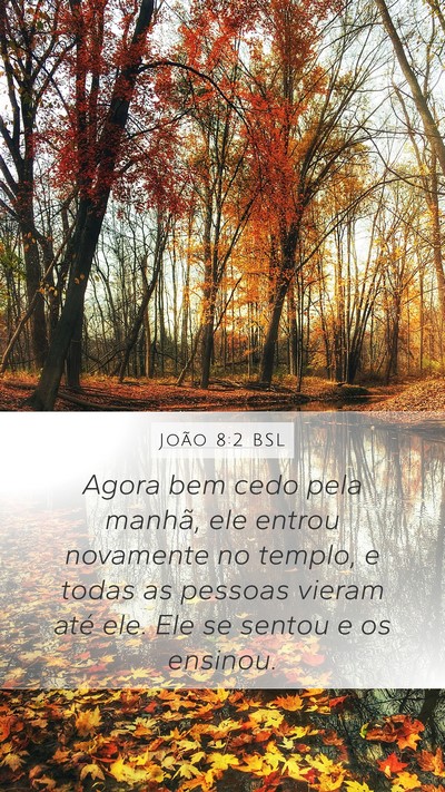 João 8:2 BSL Bible Verse Image