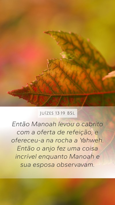 Juízes 13:19 BSL Bible Verse Image
