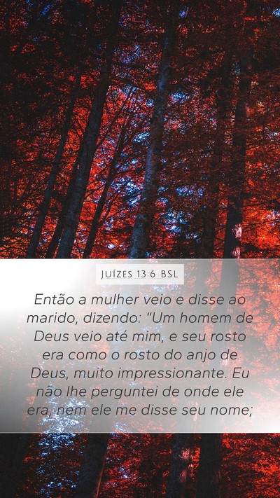 Juízes 13:6 BSL Bible Verse Image