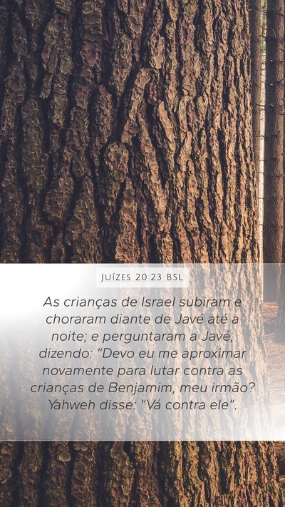 Juízes 20:23 BSL Bible Verse Image