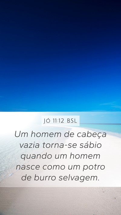 Jó 11:12 BSL Bible Verse Image