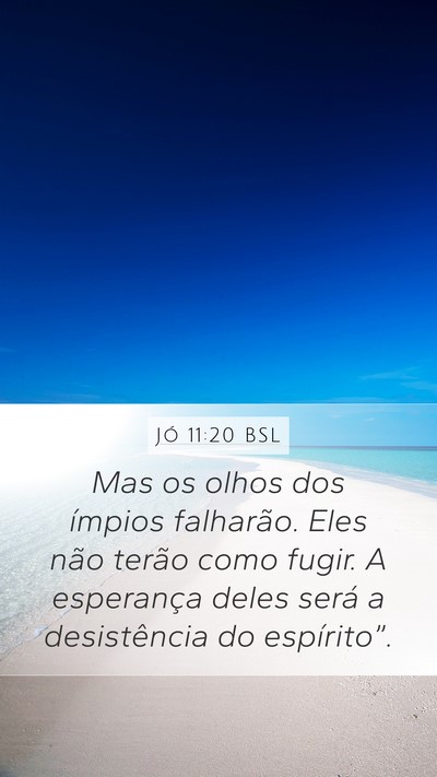 Jó 11:20 BSL Bible Verse Image