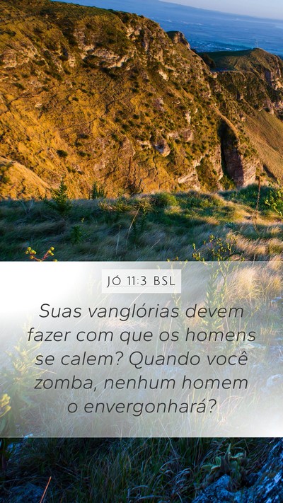Jó 11:3 BSL Bible Verse Image