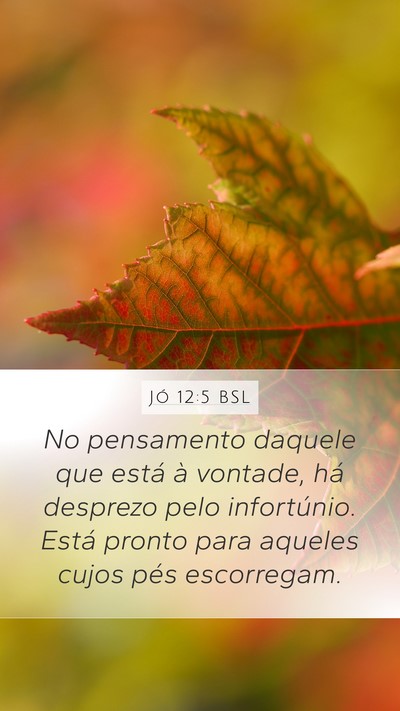 Jó 12:5 BSL Bible Verse Image
