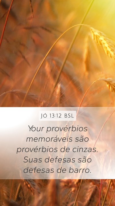 Jó 13:12 BSL Bible Verse Image