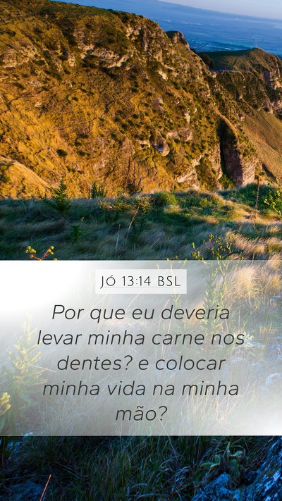 Jó 13:14 BSL Bible Verse Image