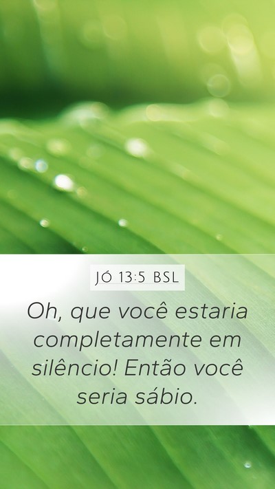 Jó 13:5 BSL Bible Verse Image
