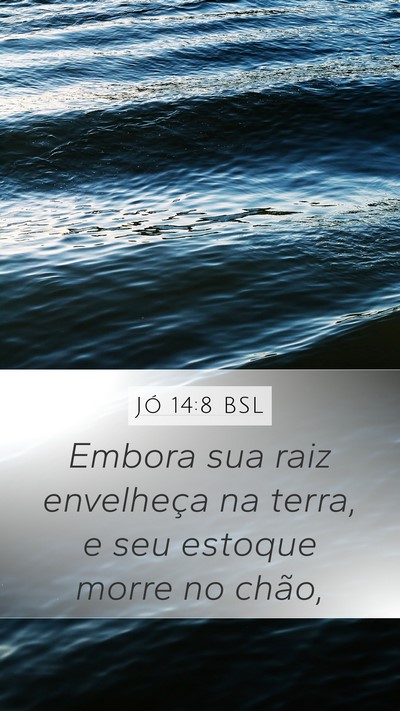 Jó 14:8 BSL Mobile Phone Wallpaper - Embora sua raiz envelheça na terra, e seu - Mobile Bible Verse Wallpaper