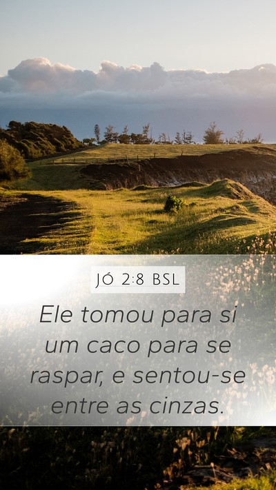 Jó 2:8 BSL Bible Verse Image