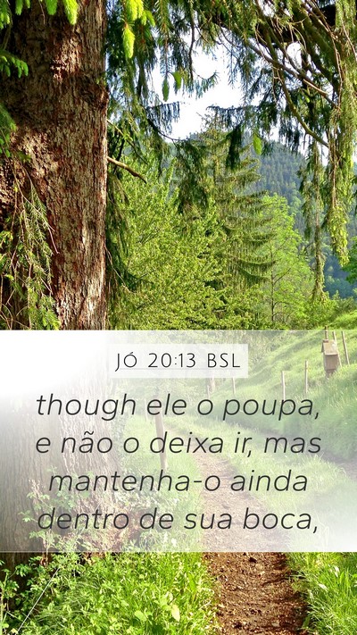 Jó 20:13 BSL Mobile Phone Wallpaper - though ele o poupa, e não o deixa ir, mas - Mobile Bible Verse Wallpaper