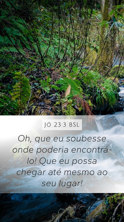 Jó 23:3 BSL Bible Verse Image