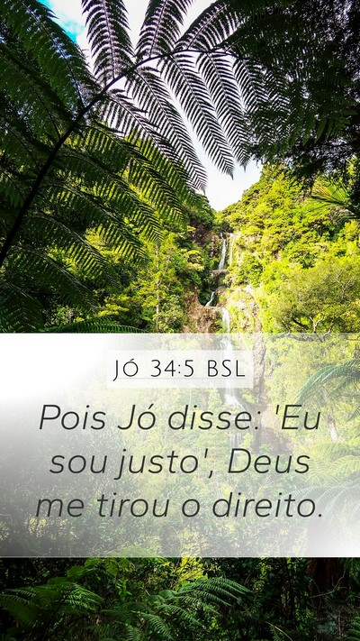 Jó 34:5 BSL Bible Verse Image