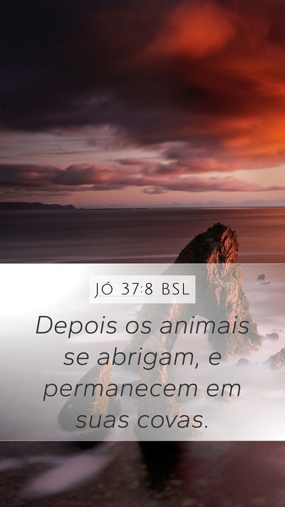 Jó 37:8 BSL Bible Verse Image