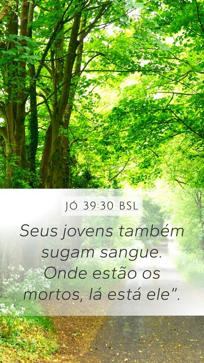Jó 39:30 BSL Bible Verse Image