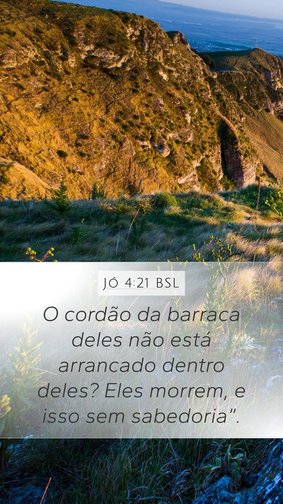 Jó 4:21 BSL Bible Verse Image