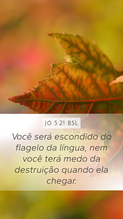 Jó 5:21 BSL Bible Verse Image